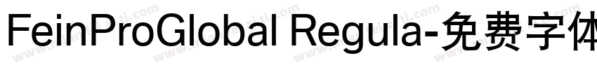 FeinProGlobal Regula字体转换